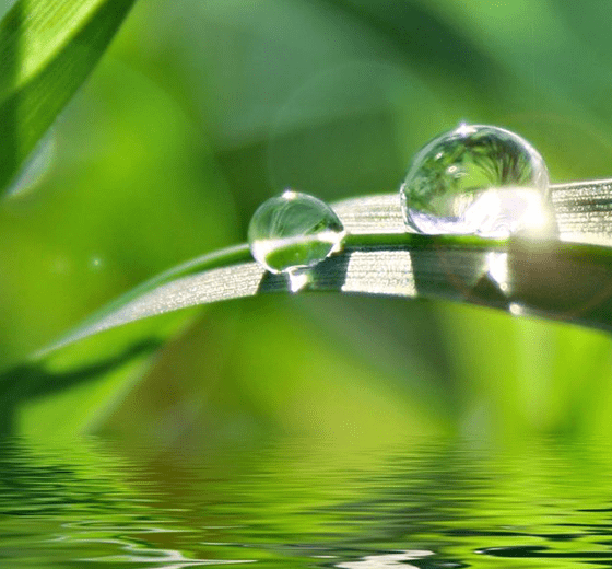 堅持可持續發展戰略 堅持可持續發展戰略